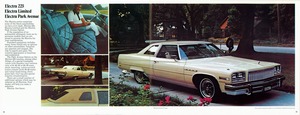 1976 Buick Full Line (Cdn)-18-19.jpg